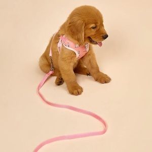 5 for $20 MIX N MATCH Pink Leash and Harness